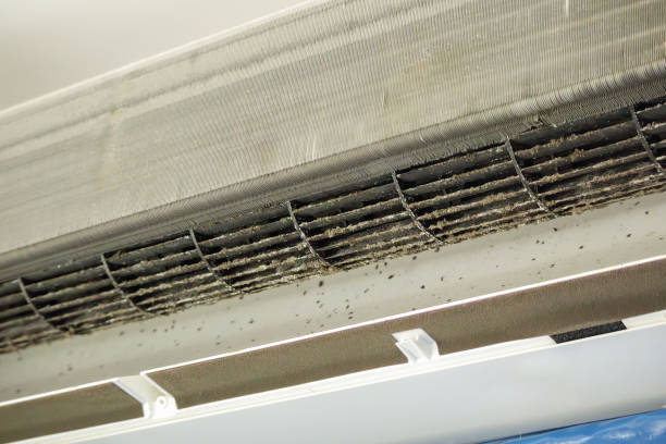 Best Home Air Vent Cleaning  in Fairhope, PA